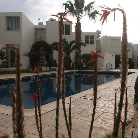 Evros Peyia & Coral Bay Seaview Apartment المظهر الخارجي الصورة