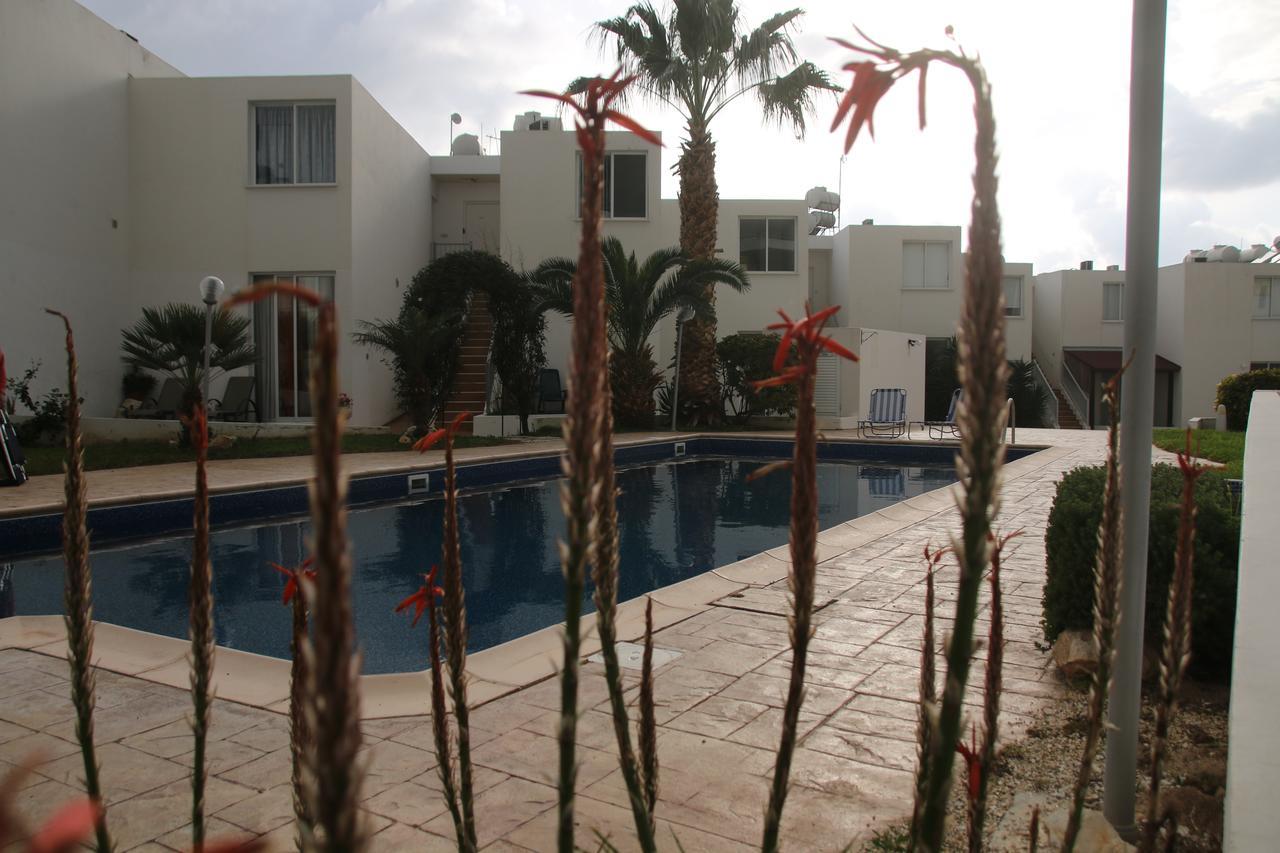 Evros Peyia & Coral Bay Seaview Apartment المظهر الخارجي الصورة